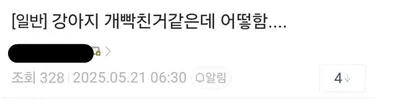 이건 강아지한테 물려도 할말없음 ㄷㄷㄷㄷ
